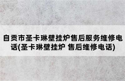 自贡市圣卡琳壁挂炉售后服务维修电话(圣卡琳壁挂炉 售后维修电话)